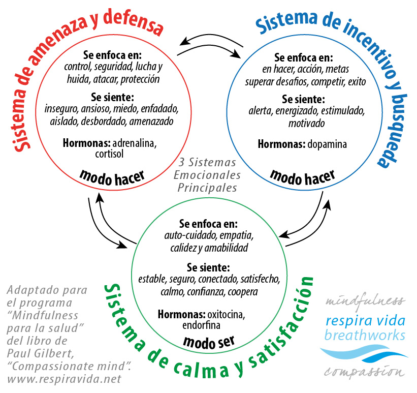 Tres Sistemas De Regulación Emocional | Respira Vida